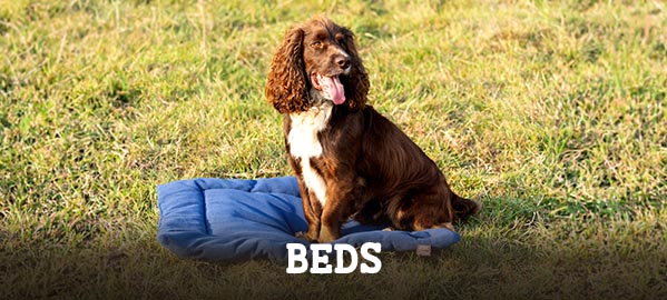 pet beds dog beds