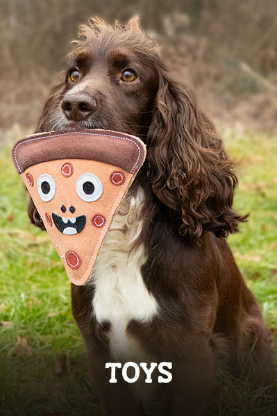 dog collars and leads