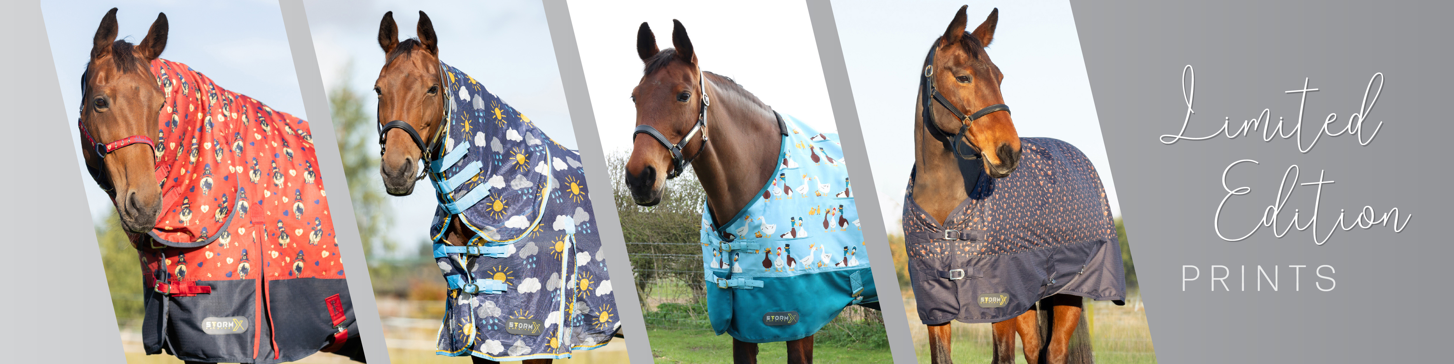 Limited Edition Prints