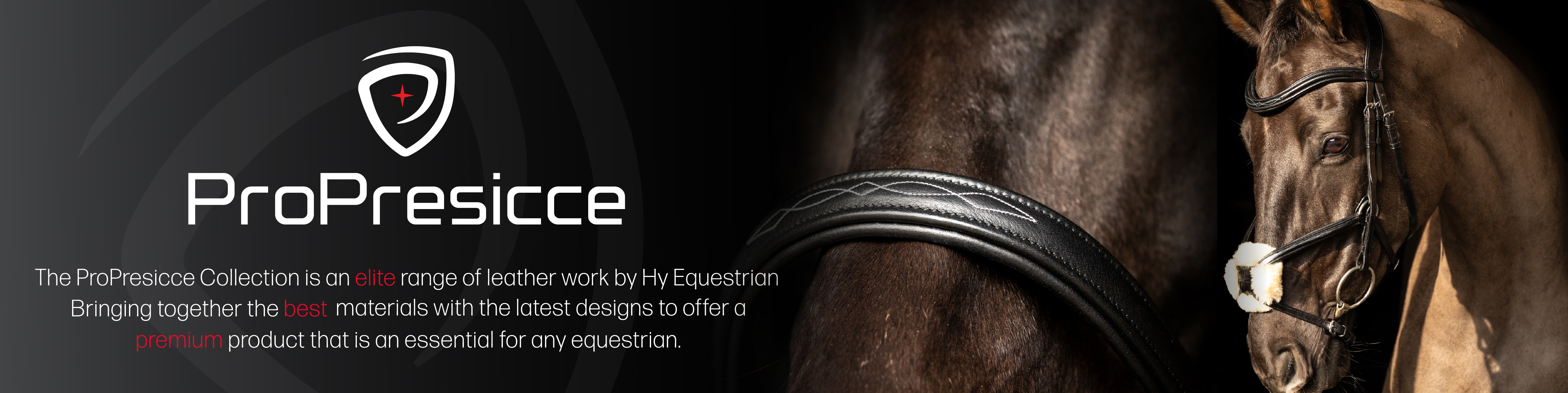 Bridles & Reins