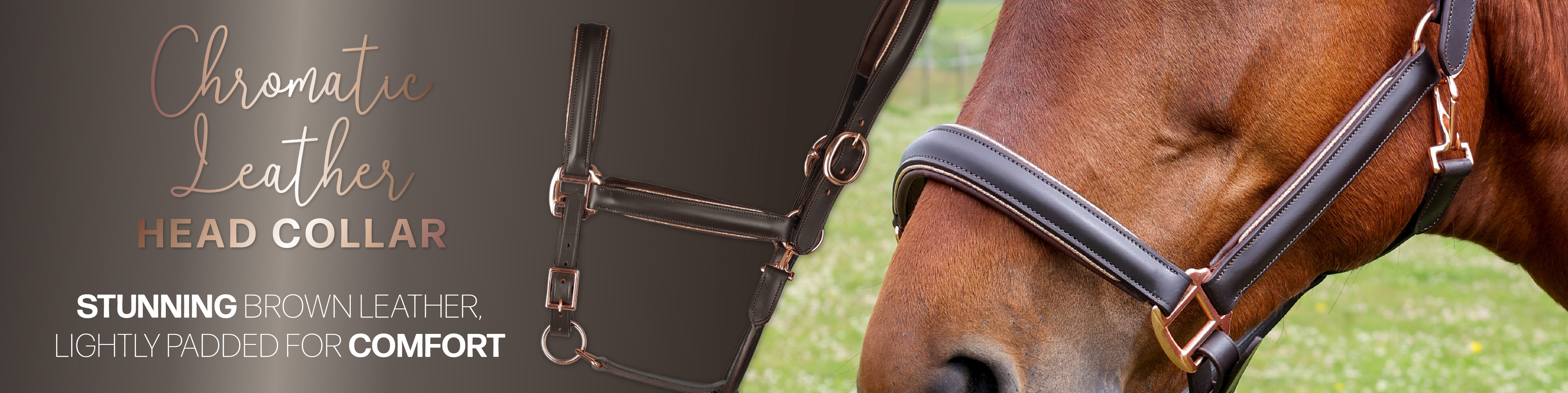 Head Collars & Lead Ropes