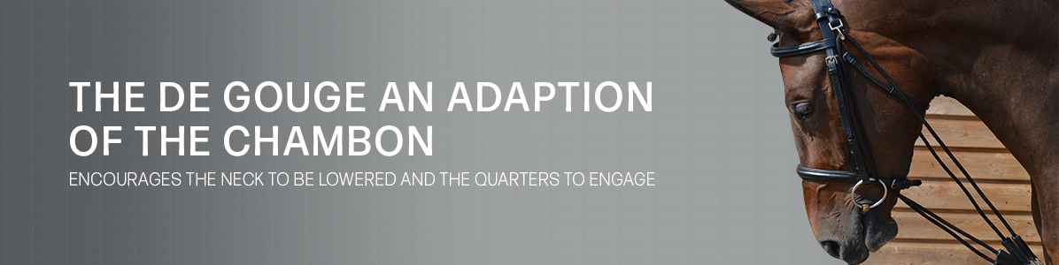 Lunging & Training Aids