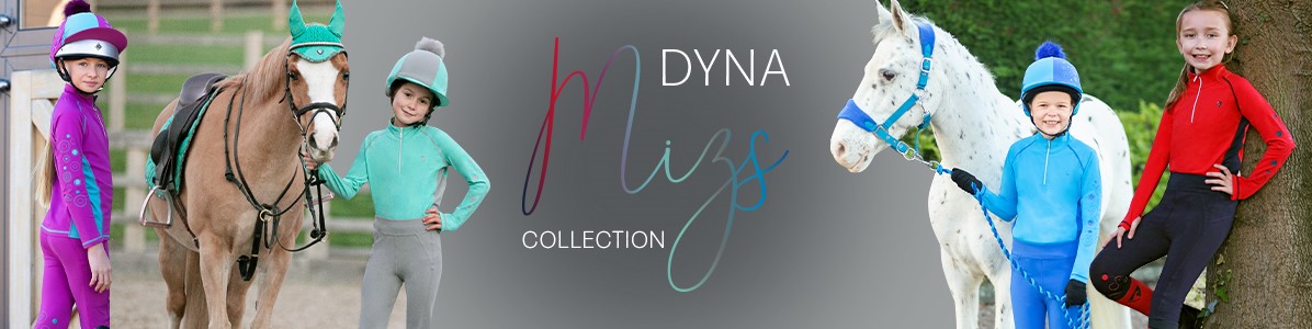 DynaMizs