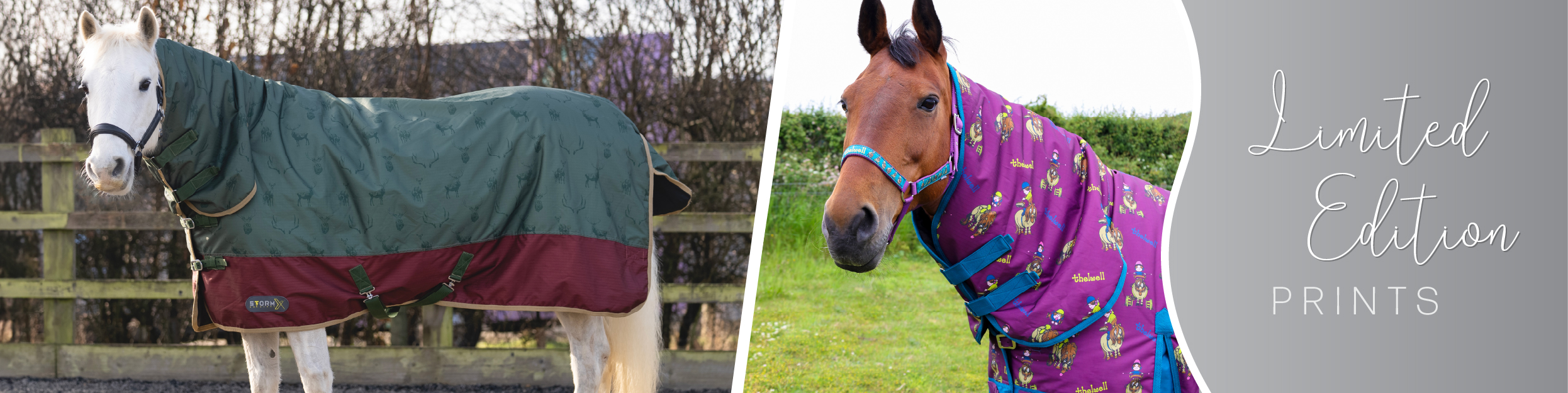 Limited Edition Prints