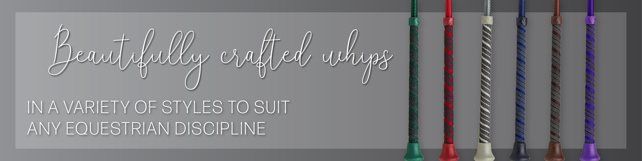 Long Whips