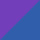 Purple/Blue