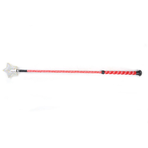 HySCHOOL Spiral Star Riding Whip in red