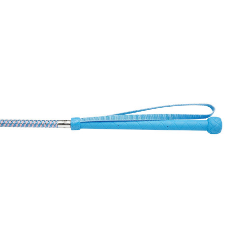 HySCHOOL Metallic Riding Whip in Pale Blue/Pale Pink