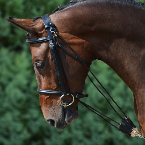 Thor Equine – 10x Korkstreifen zur Passoptimierung von Hu?Ten ohne  Klebestreifen – Ca. 20 x 2 x 0.2 cm Korkeinlagen liegen angenehm auf der  Haut & können unter EIN Schweißband gelegt Werden : : Fashion