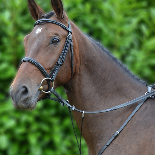 Better Control Bib Martingale by Hy Equestrian Prevents Reins From Widening 