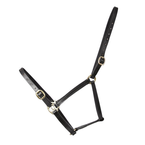 Hy Leather Foal Head Collar - Black - Small