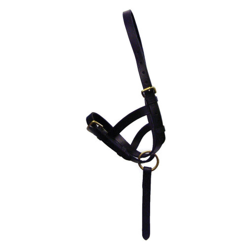 Hy Leather Foal Slip - Black - Small
