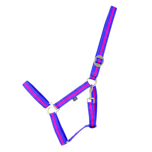 Hy Duo Head Collar - Purple/Fuchsia - Pony
