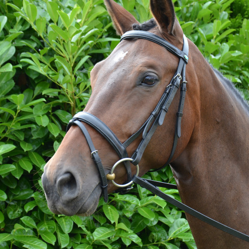 SALEHy Mexican Bridle with Rubber Grip ReinsGrackleJump