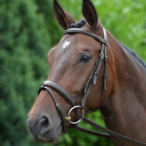 Hy Padded Flash Bridle with Rubber Grip Reins - Brown - Full 5/8''