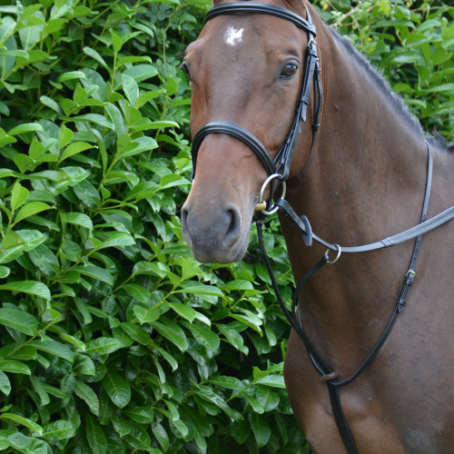 Prevents Reins From Widening Better Control Bib Martingale by Hy Equestrian 