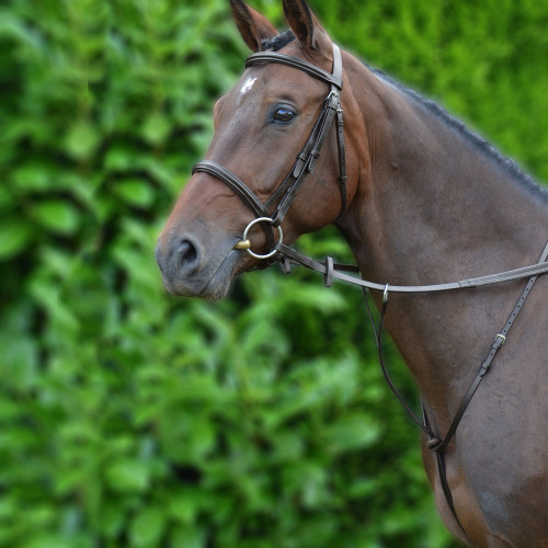 Hy Running Martingale - Brown - Pony