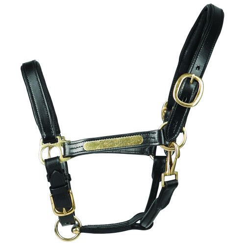 Head collar best sale