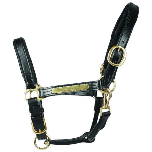 Hy Equestrian Leather Head Collar - Black - Pony