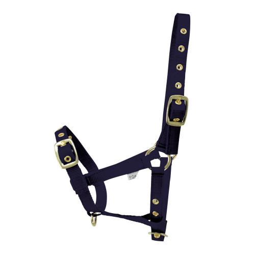 Hy Foal Head Collar - Navy - One Size