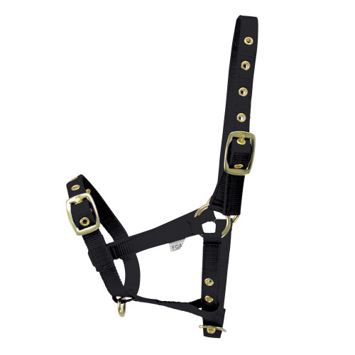 Hy Foal Head Collar - Black - One Size