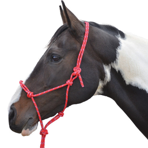 New Horse Cob Pony HY Two Tone Twisted Lead Rope For Halter/Headcollar 