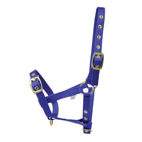 Hy Foal Head Collar - Blue - One Size