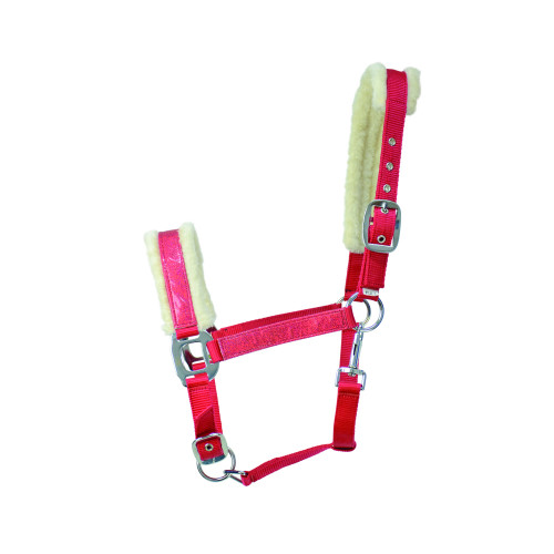 Hy Christmas Santa Head Collar