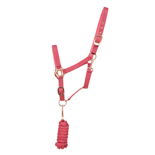 Hy Rose Gold Head Collar and Lead Rope - Blush Pink/Rose Gold - Pony