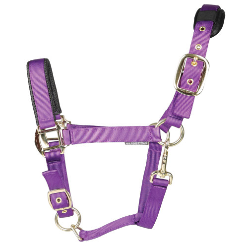 Hy Deluxe Padded Head Collar - Purple - Full