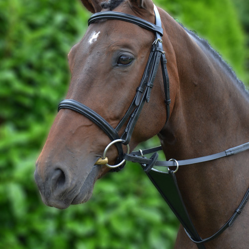 Hy Bib Martingale - Black - Cob