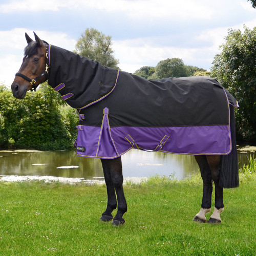 StormX Original 200 Turnout Rug with Detachable Neck Cover in Black, Purple, Yellow in 4'6"