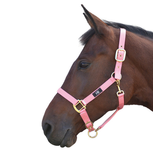 Hy Head Collar - Baby Pink - Pony