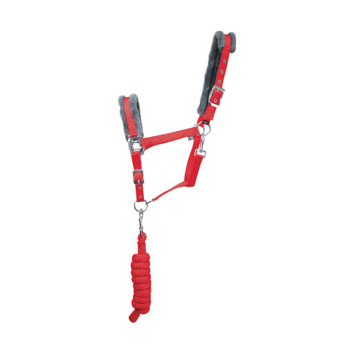 Hy Sport Active Head Collar & Lead Rope - Rosette Red - Cob