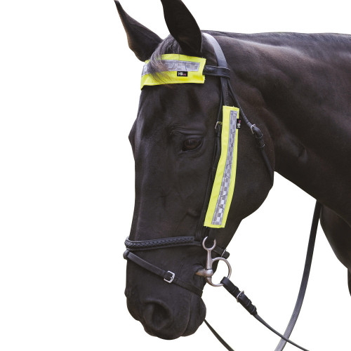 HyVIZ Bridle Set yellow 3 pieces