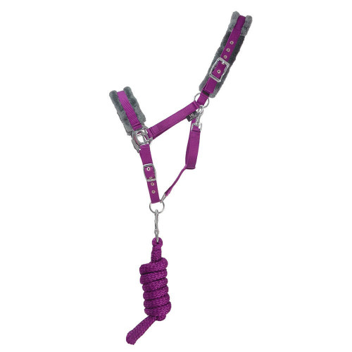 Hy Sport Active Head Collar & Lead Rope - Amethyst Purple - Cob