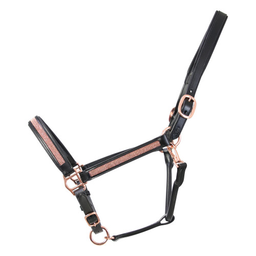 Hy Equestrian Rosciano Rose Gold Head Collar - Black/Rose Gold - Pony