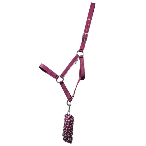 Hy Equestrian Synergy Head Collar - Fig/Silver - Pony