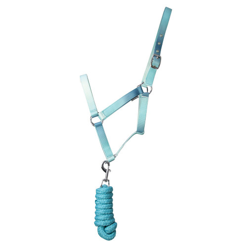 Hy Equestrian Ombre Head Collar & Lead Rope - Teal - Pony