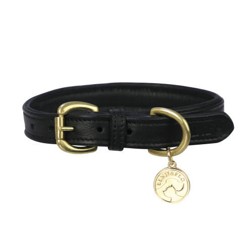 Benji & Flo Deluxe Padded Leather Dog Collar - Black/Brass - X Small