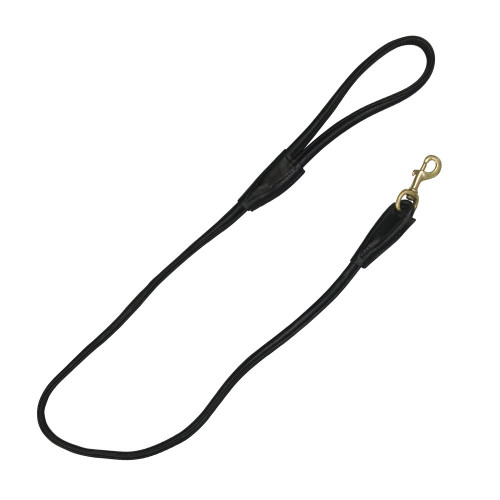 Benji & Flo Superior Rolled Leather Dog Lead - Black/Brass - 120cm