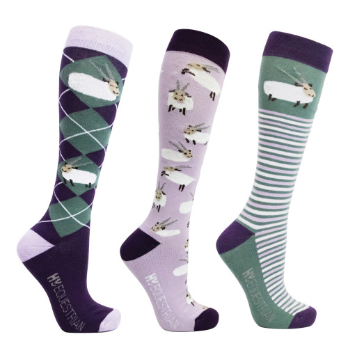 Hy Equestrian Gallant Goat Socks (Pack of 3) - Purple/Moss - Adult 4-8
