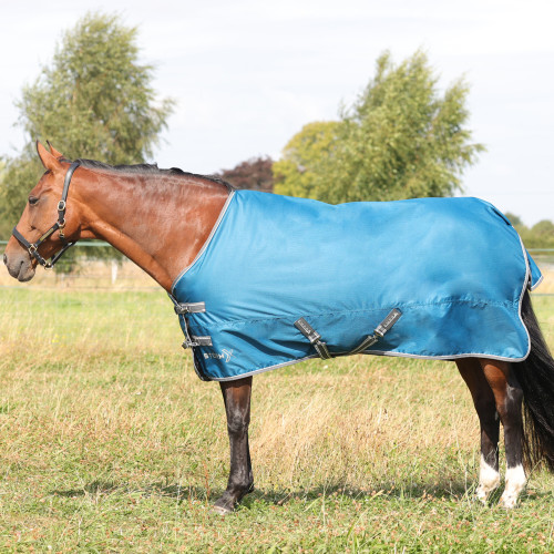 StormX Empra 50 Turnout Rug - Teal - 4'6"