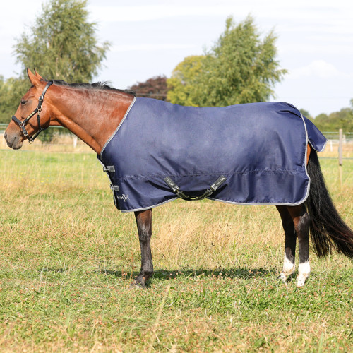 StormX Empra 100 Turnout Rug - Navy - 4'6"