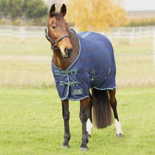 StormX Empra Air Motion Cooler Rug - Navy - 4'6"