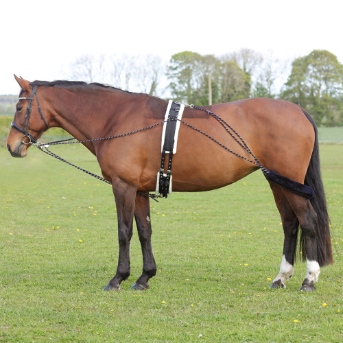 Hy Equestrian Lunging System - Navy/Grey