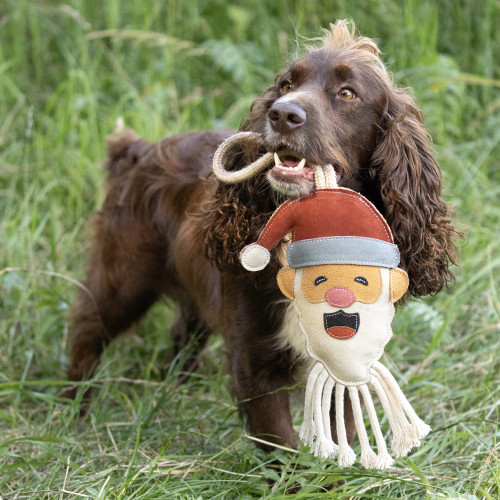 Benji & Flo Christmas Dog Toys - Santa Claus