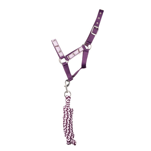 Giddy Up Gymkhana Head Collar & Lead Rope Set by Little Rider - Purple/Lilac - Cob