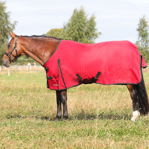 HyCONIC 50g Turnout Rug - Red/Charcoal - 4'6"