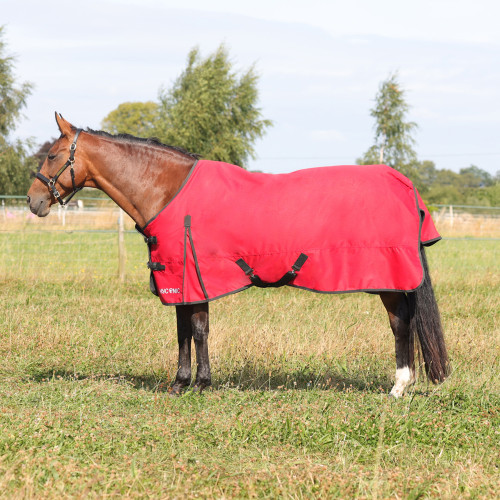 HyCONIC 200g Turnout Rug - Red - 4'6"